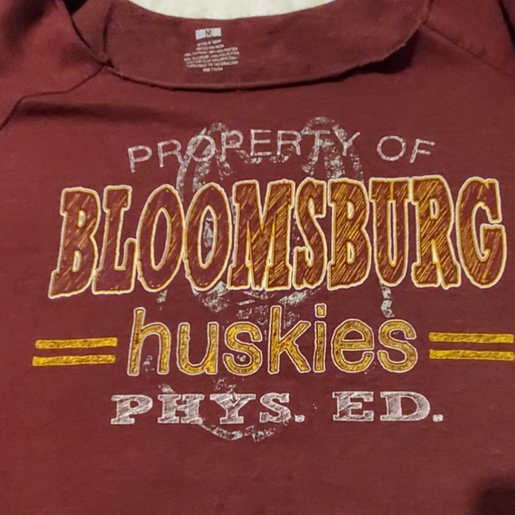 Bloomsburg Huskies sweater - Picture 3 of 4